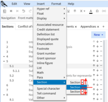 The highlight shows the upper level, lower level and current level of section under the Insert > Section